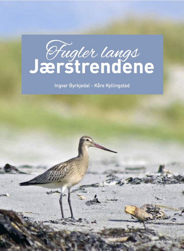 Fugler langs Jærstrendene