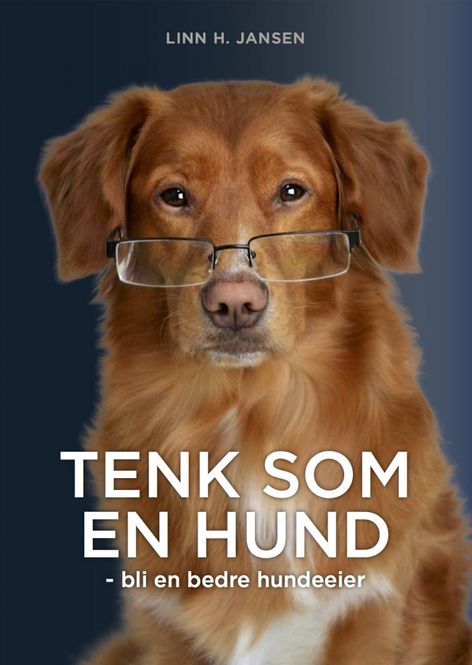 Hovedbilde Tenk som en hund